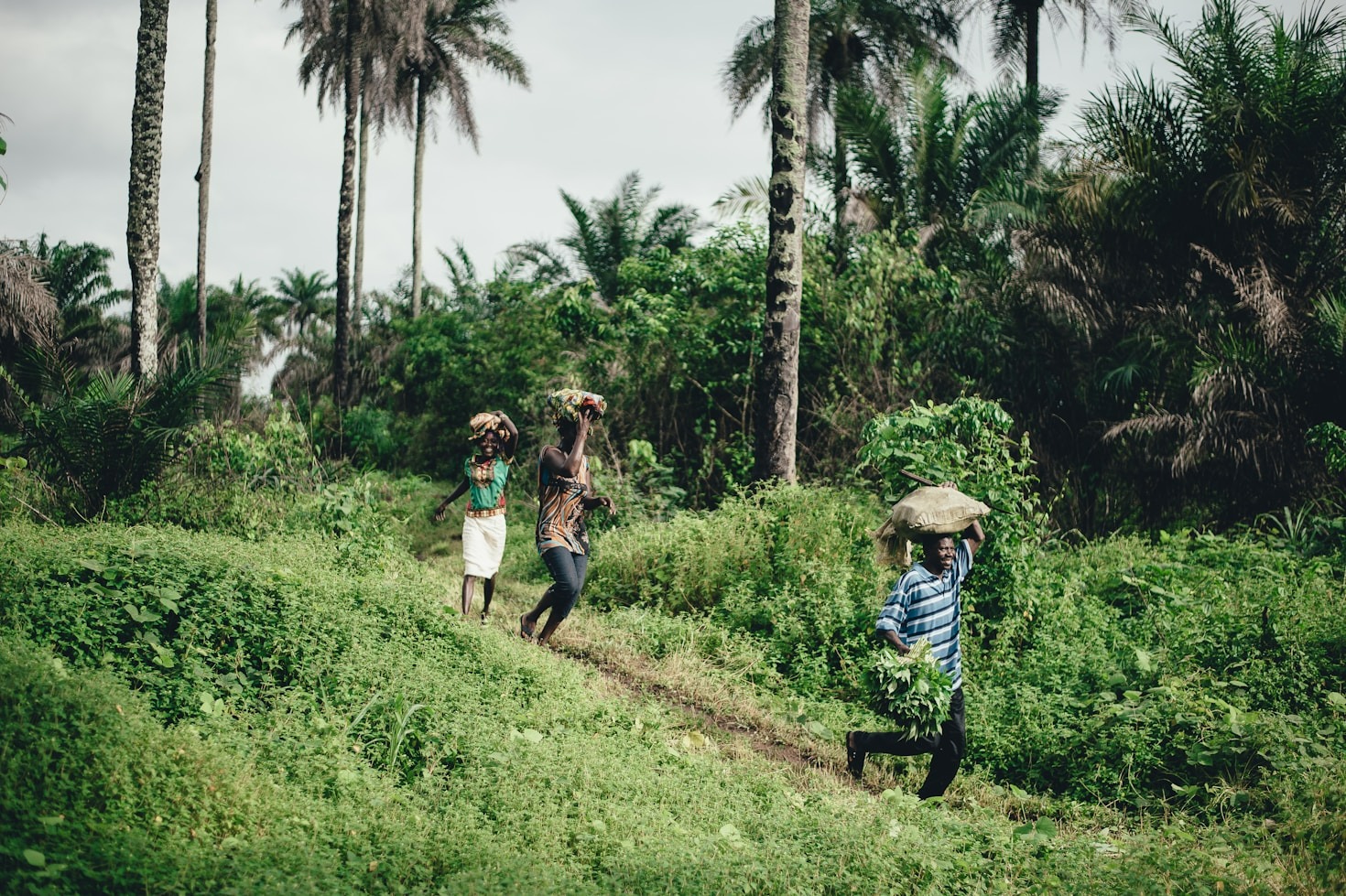 Inclusivity in Health Advocacy: A Father’s Perspective